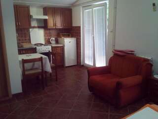 Апартаменты Apartments Mitrović Podličak Свети-Стефан Номер-студио с видом на море-8